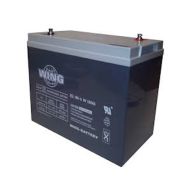 Wing ESL 180-6 6V 180Ah 298x171x226mm