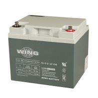 Wing ESL 45-12 12V 45Ah 198x165x167mm