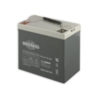 Wing ESL 55-12 12V 55Ah 229x138x166mm