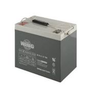 Wing ESL 70-12 12V 70Ah 260x168x211mm